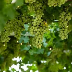Bed & Breakfast Giogaia Modica