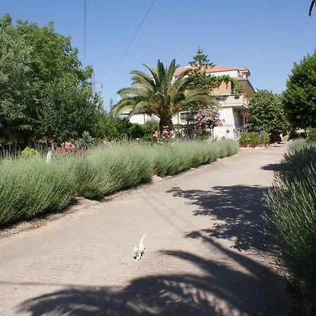 Bed & Breakfast Giogaia Modica