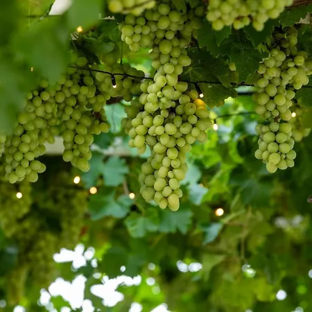 Frühstückspension Giogaia Modica