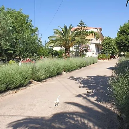 Giogaia 3*